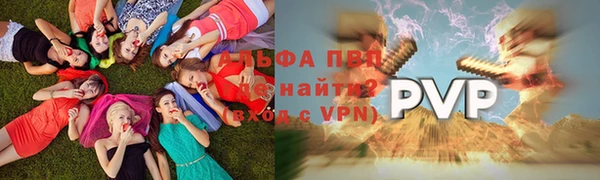 сатива Балахна