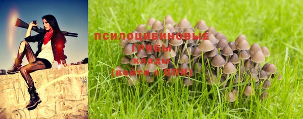 сатива Балахна