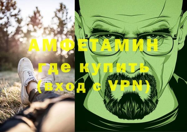 сатива Балахна