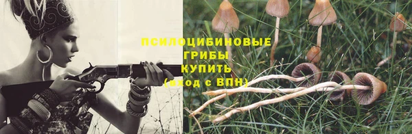 сатива Балахна