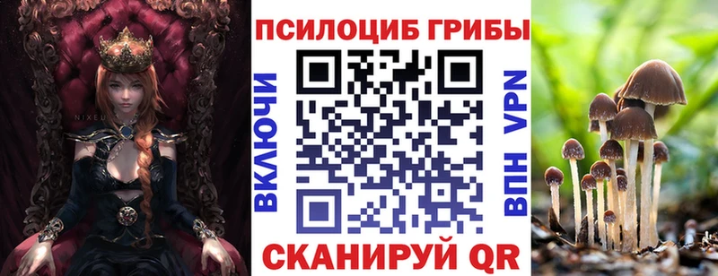 Галлюциногенные грибы GOLDEN TEACHER  Кудымкар 