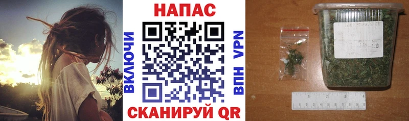Шишки марихуана планчик Кудымкар